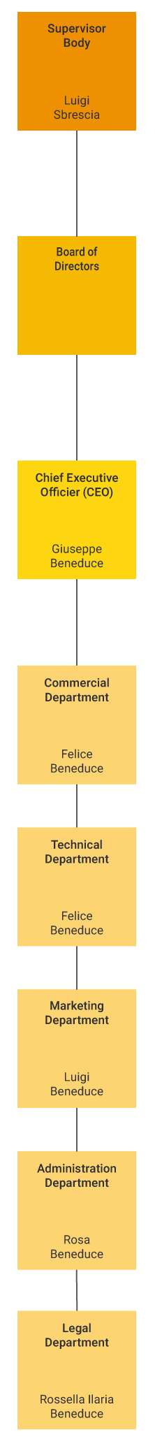 Organigramma dell'azienda