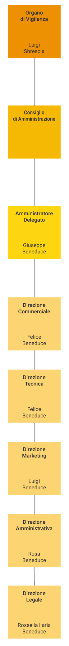 Organigramma dell'azienda
